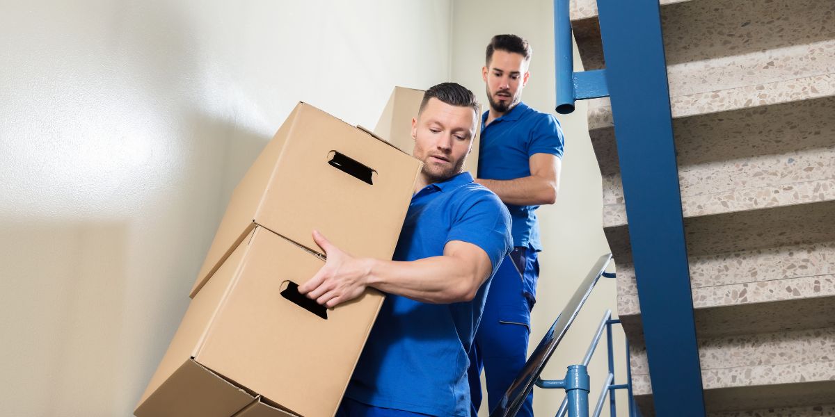 How Ali Movers Dubai is Helping Clients